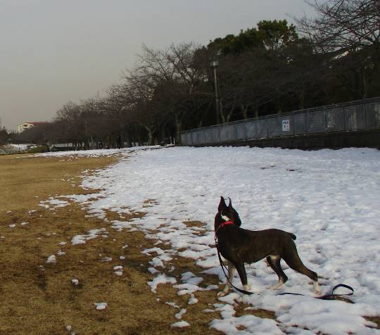 EGG'S CAFE本店 経営順調