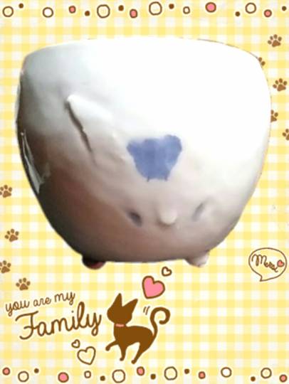 2月22日はにゃんの日です、猫について語りましょうヽ(^○^)ノ