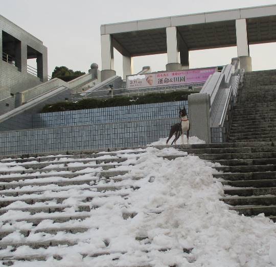 EGG'S CAFE本店 経営順調