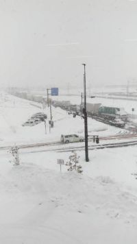 2/6 野々市情報教えてください