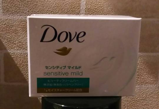 2月10日(土)新三郷倉庫16時out  大混雑のレジ。表に出ると巨大カートは1台も無く・・