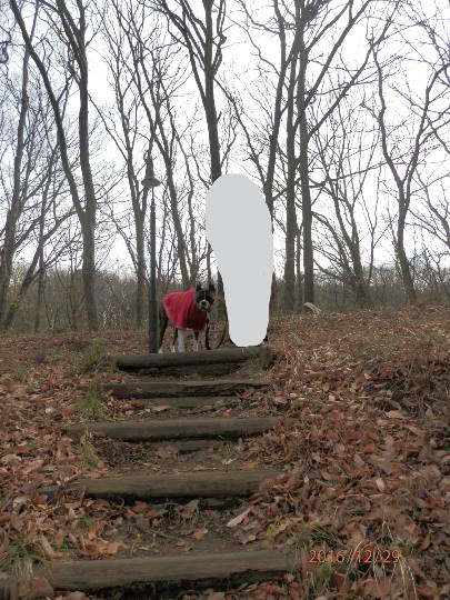 vol.7南関東イドバタ会議話し足りない人はこちら。愛調南関東連合ありのままで喋りましょう!