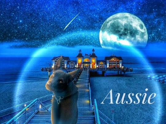 EGG'S CAFE本店 経営順調