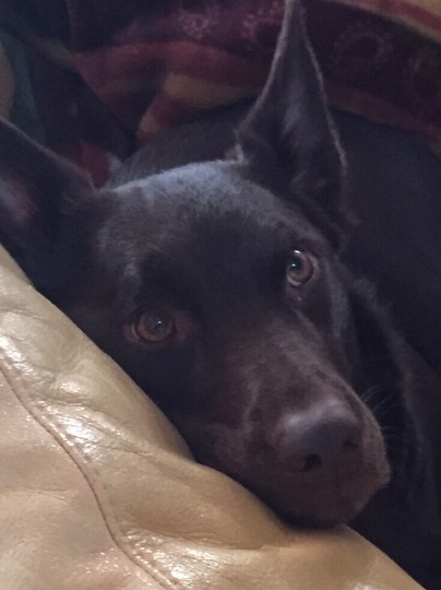 vol.７南関東イドバタ会議話し足りない人はこちら。愛調南関東連合ありのままで喋りましょう！