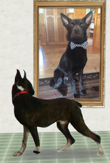 EGG'S CAFE本店 経営順調