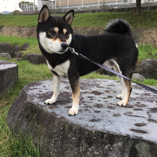 EGG'S CAFE本店 経営順調