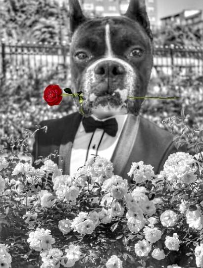 vol.８南関東イドバタ会議継続中。愛調南関東連合にようこそ！キタカンさんも是非！