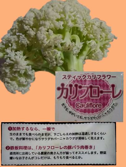 【コストコbeダイエット】パート2