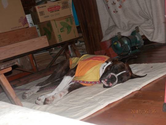 vol.７南関東イドバタ会議話し足りない人はこちら。愛調南関東連合ありのままで喋りましょう！