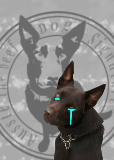 懺悔の舘(軽いの限定でスッキリ告白しませんか？)