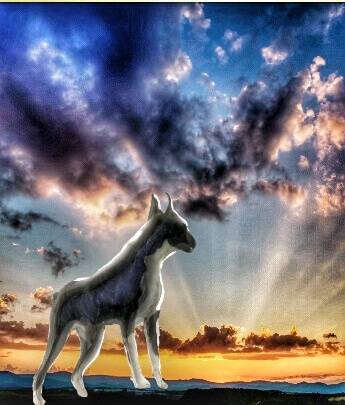 EGG'S CAFE本店 経営順調