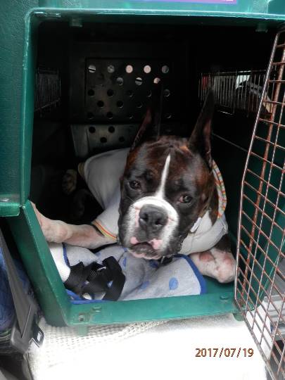 vol.７南関東イドバタ会議話し足りない人はこちら。愛調南関東連合ありのままで喋りましょう！