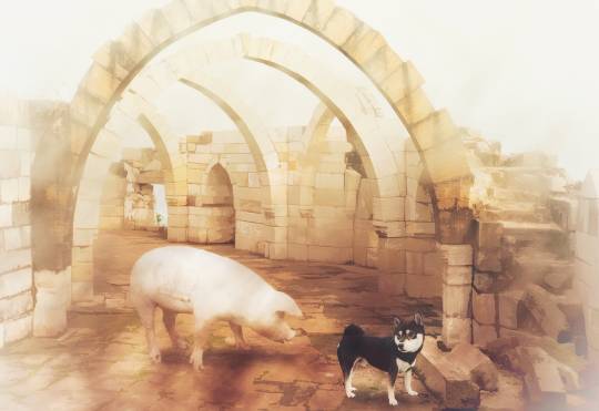 EGG'S CAFE本店 経営順調