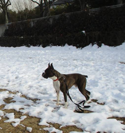 vol.７南関東イドバタ会議話し足りない人はこちら。愛調南関東連合ありのままで喋りましょう！