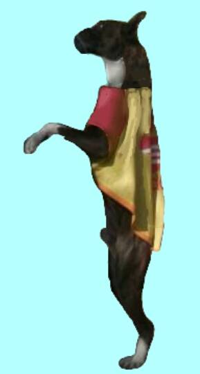 生き物ルーム第8段(^o^)