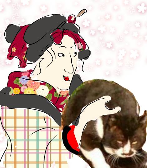 2月22日はにゃんの日です、猫について語りましょうヽ(^○^)ノ