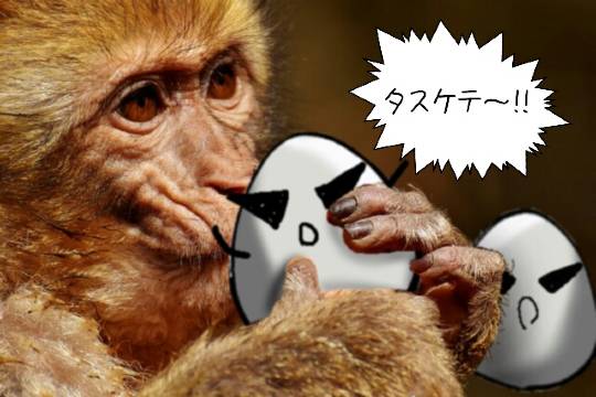 EGG'S CAFE本店 経営順調