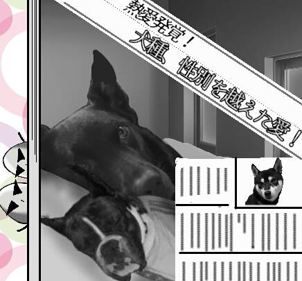 vol.７南関東イドバタ会議話し足りない人はこちら。愛調南関東連合ありのままで喋りましょう！