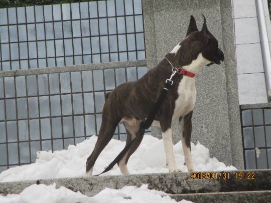 EGG'S CAFE本店 経営順調