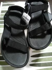 2/23（金）12時頃の情報