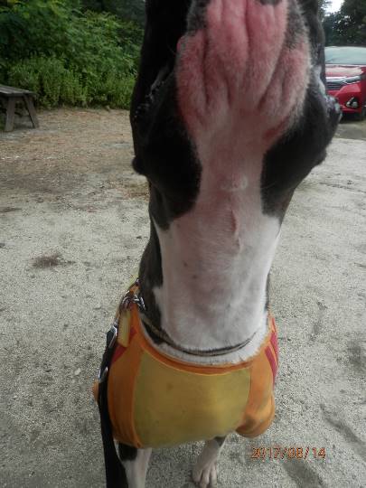 vol.７南関東イドバタ会議話し足りない人はこちら。愛調南関東連合ありのままで喋りましょう！