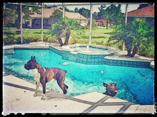 EGG'S CAFE本店 経営順調