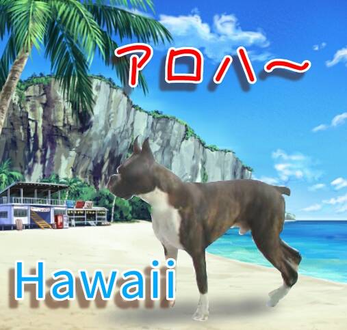 vol.７南関東イドバタ会議話し足りない人はこちら。愛調南関東連合ありのままで喋りましょう！