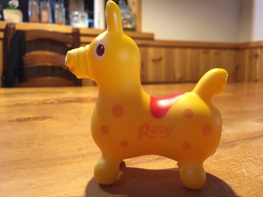 2月22日はにゃんの日です、猫について語りましょうヽ(^○^)ノ