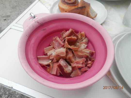 生き物ルーム第8段(^o^)