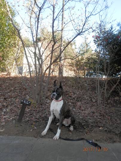 生き物ルーム第8段(^o^)