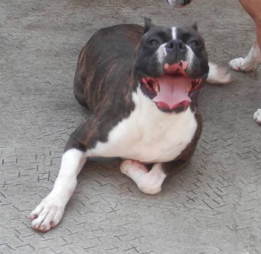 生き物ルーム第8段(^o^)