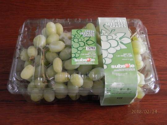 vol.8南関東イドバタ会議継続中。愛調南関東連合にようこそ!キタカンさんも是非!