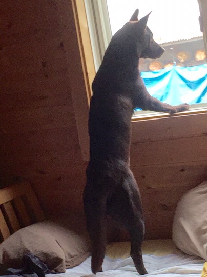 生き物ルーム第8段(^o^)