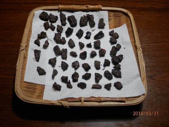 生き物ルーム第8段(^o^)