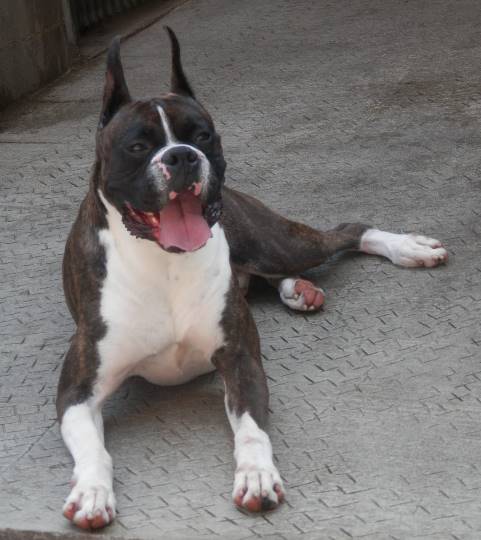 生き物ルーム第8段(^o^)