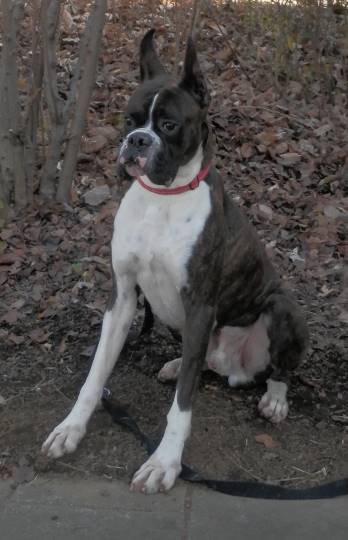 生き物ルーム第8段(^o^)