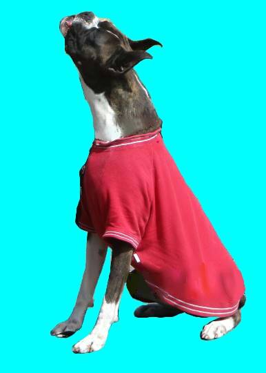 vol.8南関東イドバタ会議継続中。愛調南関東連合にようこそ!キタカンさんも是非!