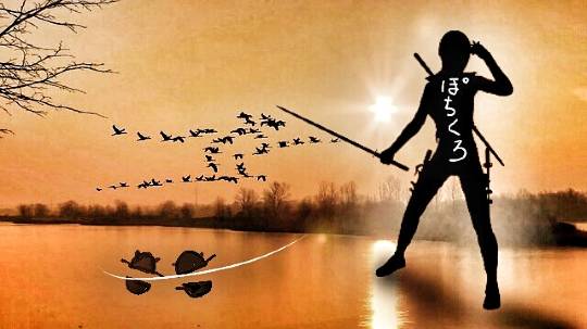 つぶやき その43 (о´∀`о)