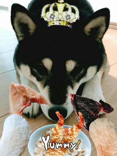 いろいろ『祝おう会』開催のお知らせ　3/16(金)～3/18(日)