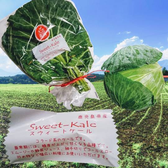 vol.8南関東イドバタ会議継続中。愛調南関東連合にようこそ!キタカンさんも是非!