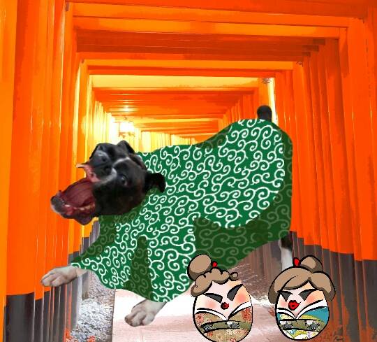 生き物ルーム第8段(^o^)