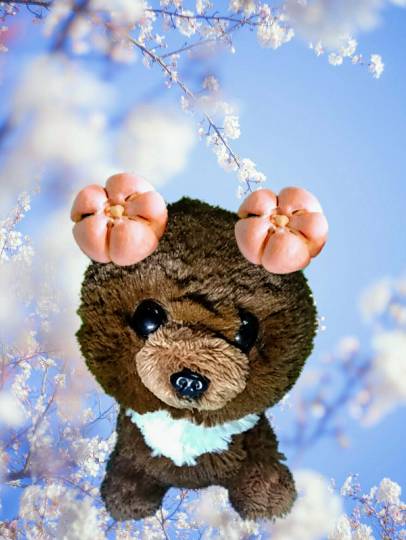 vol.8南関東イドバタ会議継続中。愛調南関東連合にようこそ!キタカンさんも是非!