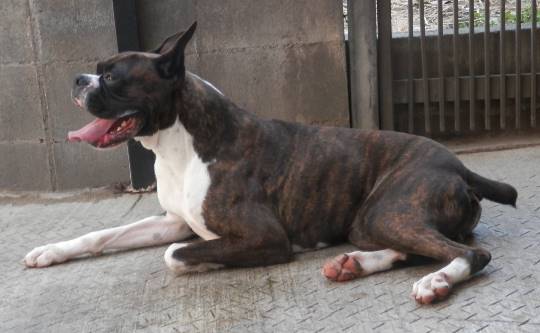 生き物ルーム第8段(^o^)