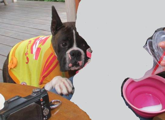 生き物ルーム第8段(^o^)