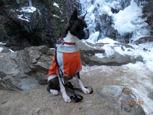 生き物ルーム第8段(^o^)