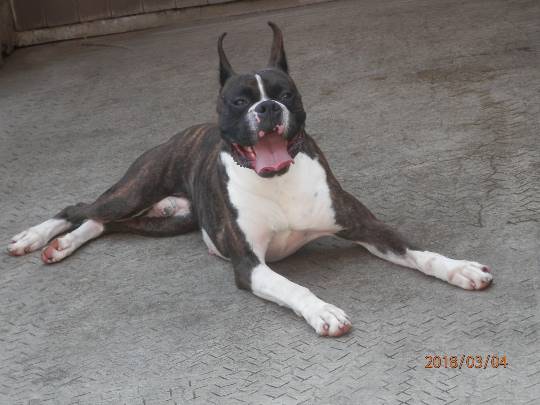 生き物ルーム第8段(^o^)