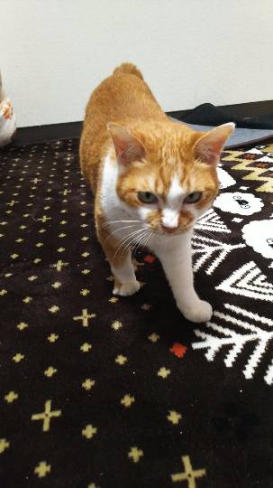 いろいろ『祝おう会』開催のお知らせ　3/16(金)～3/18(日)