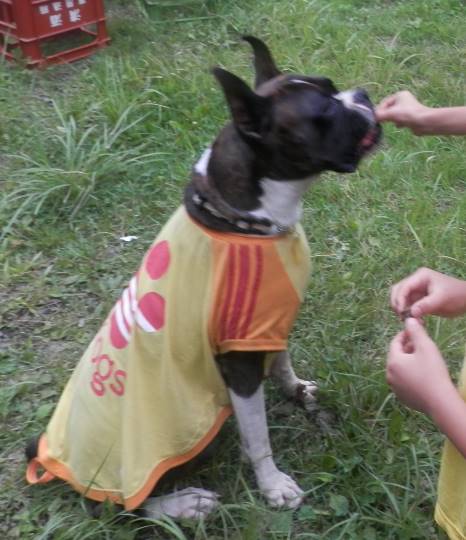 vol.8南関東イドバタ会議継続中。愛調南関東連合にようこそ!キタカンさんも是非!