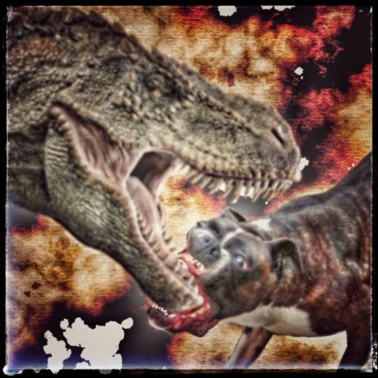 生き物ルーム第8段(^o^)