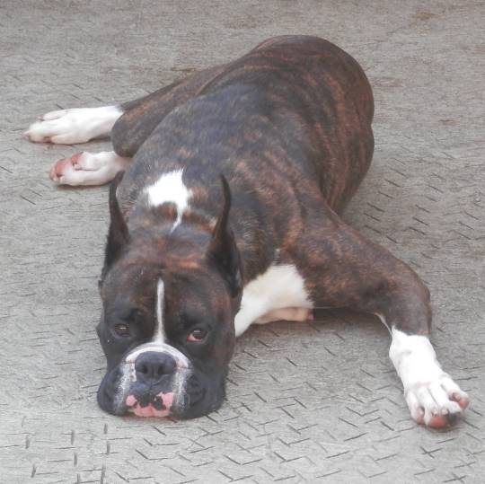 生き物ルーム第8段(^o^)